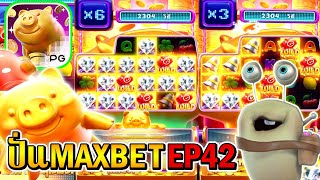 Lucky Piggy  Pocket Games Soft ► ปั่นMAXBET EP42‼ ◄ [upl. by Eidnyl]