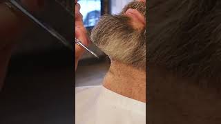 Beard Fade With Big Goatee to Tight Sideburns Shorts [upl. by Villiers]