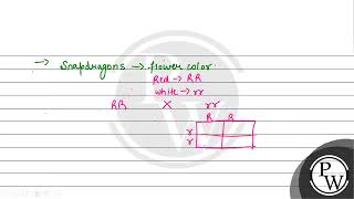 It is sometimes observed that the \\\\mathrmF1\\ progeny has a phenotype that does not rese [upl. by Norrehc]