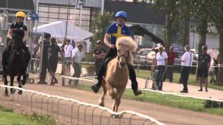 Þorvaldur Árnason P1 WC Icelandic Horses IslandpferdeWM VM Islandshästar 2015 [upl. by Rahal]