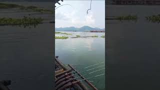 pegel rasanya kalo ikan ga naik [upl. by Benjamen235]