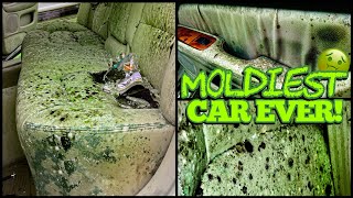 Deep Cleaning the MOLDIEST BIOHAZARD Lexus EVER  Satisfying DISASTER Car Detailing Transformation [upl. by Essile]