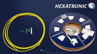 Hexatronic Stingray  Swift Ferrule Termination Tutorial [upl. by Annawaj524]