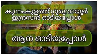 കുന്നംകുളത്ത് ഗുരുവായൂർഇന്ദ്രസൻ ഓടിയപ്പോൾviralvideo viral pooram2024 guruvayoor kunnamkulam [upl. by Steere]