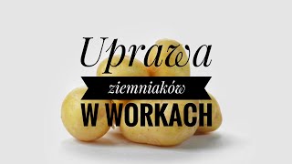 Uprawa ziemniaków w workach [upl. by Landon]