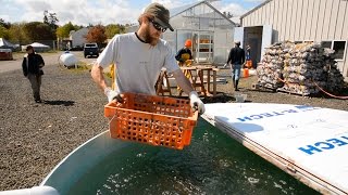 Saving Paradise Water for Oysters [upl. by Mozelle]