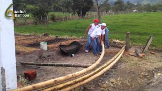 Bending Dry Bamboo Poles [upl. by Feld]