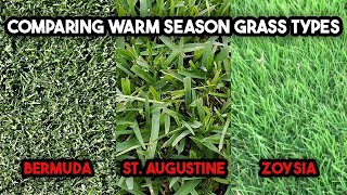 Brief Comparison of Warm Season Grass Types  Bermudagrass  St Augustine  Zoysia [upl. by Aneloj809]