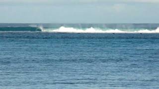 Rarotonga Surf Breaking on Coral Reef [upl. by Sukhum]