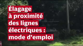 VIDÉO DeuxSèvres  lélagage une pratique importante et réglementée [upl. by Bess]