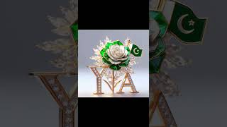 special dpz for 14 August 2024💚🇵🇰SKFashionandStyle 14august love pakistan viralvideo trend [upl. by Talanian]