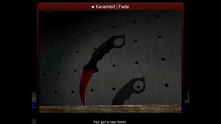 99  Karambit Fade Factory NEW HOVERED OVER FT ZEBRA in the way Hitting the jackpot [upl. by Yarehs]