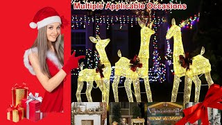 Christmas Reindeer 3Piece Family Set Warm White Lighted Christmas Decoration 2024 [upl. by Eslud]