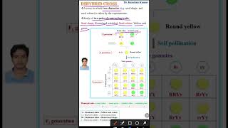 Dihybrid cross  Genetics class 12 [upl. by Carrillo]