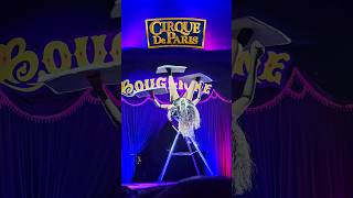 Cirque De Paris MUST SEE Traveling French Circus [upl. by Aicirtal996]