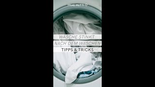 Waschmaschine stinkt So wirst du die Gerüche los [upl. by Remos663]