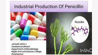 Penicillin productionIndustrial MicrobiologyFermentationRecoveryAntibiotic [upl. by Ellyn]