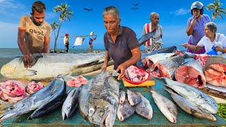 Amazing Very Delightful Village Best Streets Fish Market In Sri Lanka [upl. by Levesque]