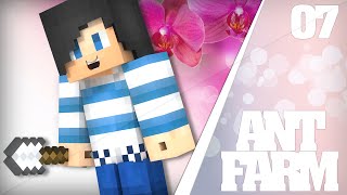 MINECRAFT Ant Farm 07  A moi les Mobs  ft TheMissAddict [upl. by Norihs]