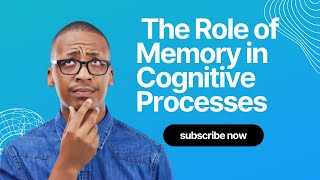 The Role of Memory in Cognitive Processes  Psychology [upl. by Dumas]