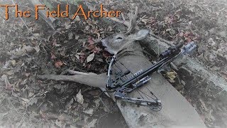 Crossbow Hunting 5 Year Old Buck Drops On Camera [upl. by Glennon]