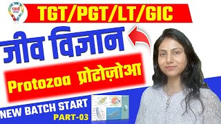 TGT PGT LT GIC BIOLOGY Protozoa प्रोटोज़ोआ LEC03  biology protozoa BY DEEPSHIKHA MAAM ugcnet [upl. by Arykahs]