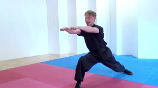 Learn Choy Li Fut Kung Fu  Ping Kuen form [upl. by Ynnhoj]