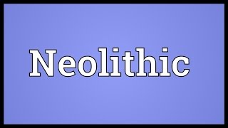 Neolithic Meaning [upl. by Nirad589]