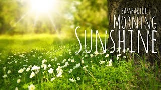 Happy Instrumental Background Music for Video  Morning Sunshine [upl. by Anirrak]