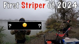 Sacramento River January Striper Fishing 2024 Deep Water Channel [upl. by Cookie]