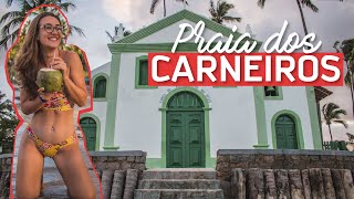 COMO FUNCIONA A PRAIA DOS CARNEIROS EM PERNAMBUCO Acessos pontos de apoio e passeios [upl. by Tanhya]