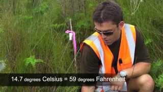 Nutrient Impacts on Wetlands Field Studies New Zealand [upl. by Zelde]