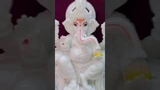 Happy vinayagar chathurthi🦣🦣🦣🦣🦣🦣pleasesubscribemychannel [upl. by Lavud]