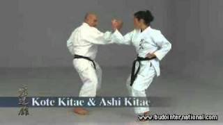 Shoryn Ryu karate Kyudokan Mazato Higa [upl. by Mumford1]