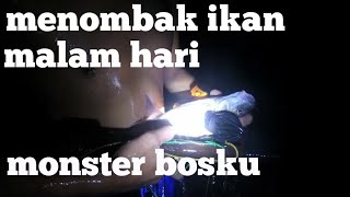 MENOMBAK NEMBAK IKAN MEMANAH IKAN MALAM HARI SEMAH GARING SPEARFISHING DAPAT BANYAK [upl. by Irrahs]