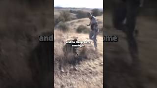 Joe Rogan How to properly hunt Javelinas [upl. by Coward554]