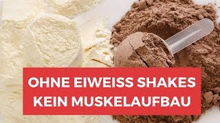 Helfen Protein Shakes beim Abnehmen  ALLES ÜBER EIWEIß PULVER amp PROTEIN SHAKES [upl. by Anuala]