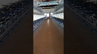 Newly Build Cows Milking parlour [upl. by Khajeh]