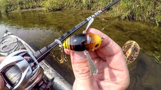 Micro Crawler Mega Smallies [upl. by Tilney975]