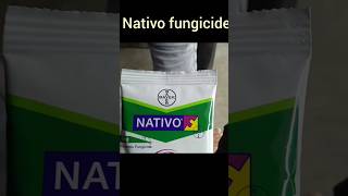 Nativo fungicide।। নাটিভো ছত্রাকনাশক।। shorts manik [upl. by Naresh]