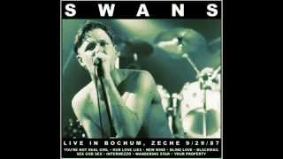 SwansLive 92987 Bochum Germany [upl. by Landis]