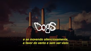 Pink Floyd  Dogs Legendado [upl. by Nylarat]