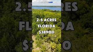 25 Acres for Sale in Bronson Florida for 38900 Mobile homes are allowed shorts realestate [upl. by Yellac244]