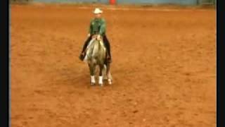 Tinsel Jac 2008 NRHA Derby [upl. by Coltson494]