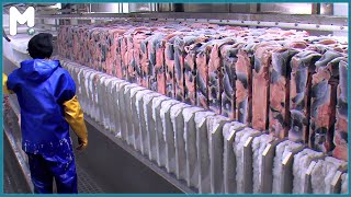 Amazing Big Net Fishing Trawler Fishing in the Sea  Factory Processing on a Frozen Fishing Boat [upl. by Gargan]