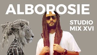 Alborosie Special [upl. by Erapsag]