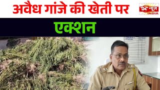 Police Action Against Those Who Cultivate Ganja DC NEWS INDIA [upl. by Judith205]