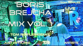 Boris Brejcha Mix Vol 1  Young and stupid Panic room Spicy Disconnected James Hype Tita Lau [upl. by Arabel]