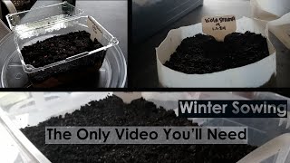 Winter Sowing  The Only Video Youll Need  3 Methods amp Native Seeds [upl. by Karp]