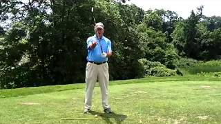 quotSecretquot for Correct Left Arm Position and Vertical Swing Body Friendly Golf [upl. by Rozelle]